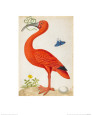Antiquarian (British Museum) Posters