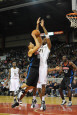 Erie BayHawks Posters