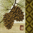 Piñas Pósteres