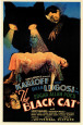 Black Cat (1934) Poster