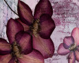 Flores secas y prensadas (arte decorativo) Pósteres
