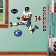 Walter Payton (Bears) Posters