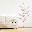 Japanese Cherry Blossoms