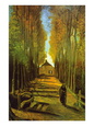 Autumn Tree Lined Lane Leading To a Farm House Posters