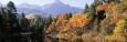 Panoramic Images Posters