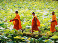 Monjes Pósteres