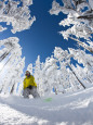 Snowboarding (Color Photography) Posters