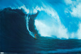 Fotografías en color de surf Posters