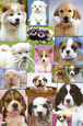 Filhotes de cachorro Posters