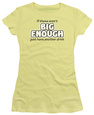 Women's Alcohol & Drug T-Shirts Posters
