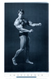 Arnold Schwarzenegger (Films) Posters