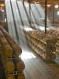 Vignobles et caves Posters