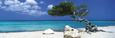 Caribbean Posters