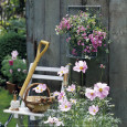 Gardening Tools (Color Photography) Posters