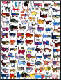 100 gatos e um rato