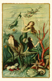 Mermaids Posters