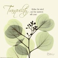 Tranquilidad Posters