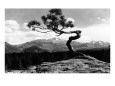 Fotografías antiguas de montañas Posters