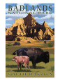 Bison Posters