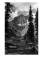 Fotografías en blanco y negro de arroyos Posters