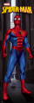 Spiderman - Standing