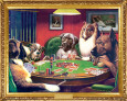 Collies Posters