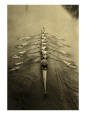 Rowing (Water Sport) Posters