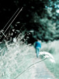 Garden Figures (Color Photography) Posters