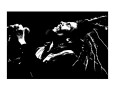Singers (B&W Photography) Posters