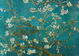 Amendoeira em Flor (van Gogh) Posters