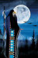 American Indigenous Cultures Posters