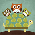 Owls Posters