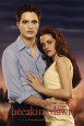 Twilight Saga: Breaking Dawn - Part 1 (2011) Posters