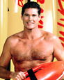 David Hasselhoff Posters
