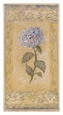 Shari White Affiches