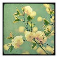 Vintage Photography Posters