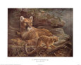 Animals Decorative Art by Type Posters
