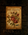 Bel Bouquet IV Reproduction d'art par Kimberly Poloson