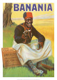 Banania Lámina