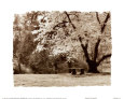 Dick & Diane Stefanich Posters
