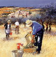 La cueillette des olives Lámina por Andre Deymonaz