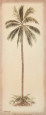 Debra Lake Poster