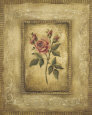 Savin Rose Art Print by Kimberly Poloson