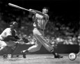 Ted Williams - Batting (sepia) Photo
