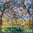 Frühling in Giverny