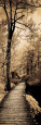 Landscapes (Sepia-Tone Photography) Posters