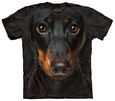 Dachshunds Posters