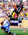 Hines Ward (Steelers) Posters