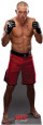 Artes Marciais Mistas Posters