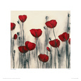 Hans Andkjaer Posters